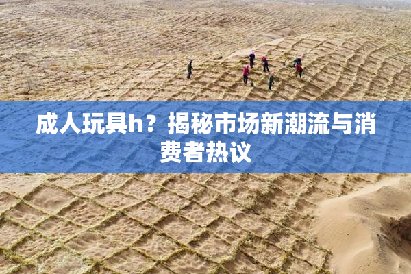 成人玩具h？揭秘市场新潮流与消费者热议