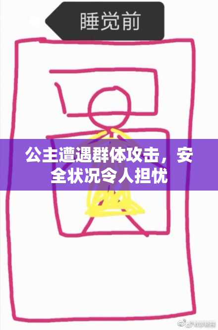 公主遭遇群体攻击，安全状况令人担忧