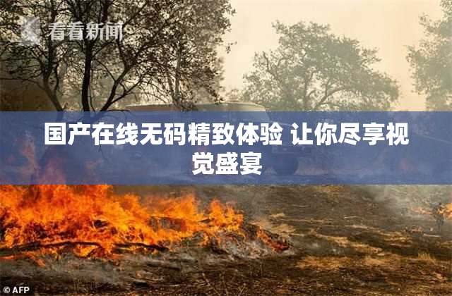 国产在线无码精致体验 让你尽享视觉盛宴