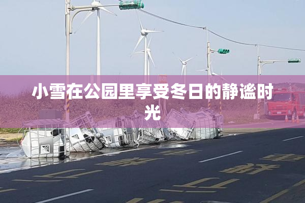 小雪在公园里享受冬日的静谧时光
