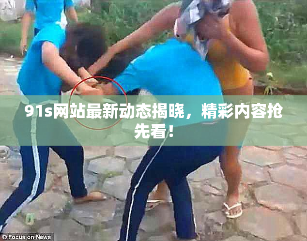 91s网站最新动态揭晓，精彩内容抢先看！