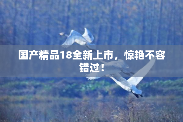 国产精品18全新上市，惊艳不容错过！