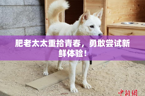 肥老太太重拾青春，勇敢尝试新鲜体验！