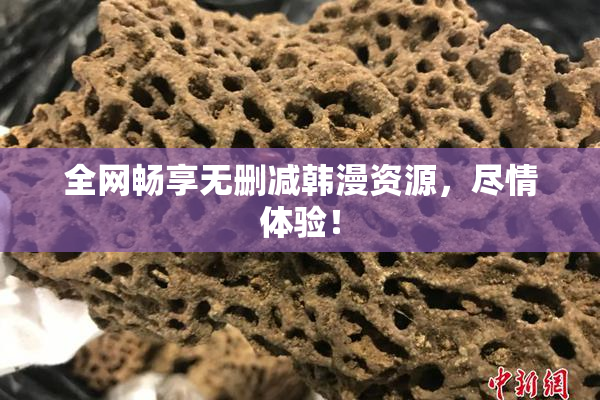 全网畅享无删减韩漫资源，尽情体验！