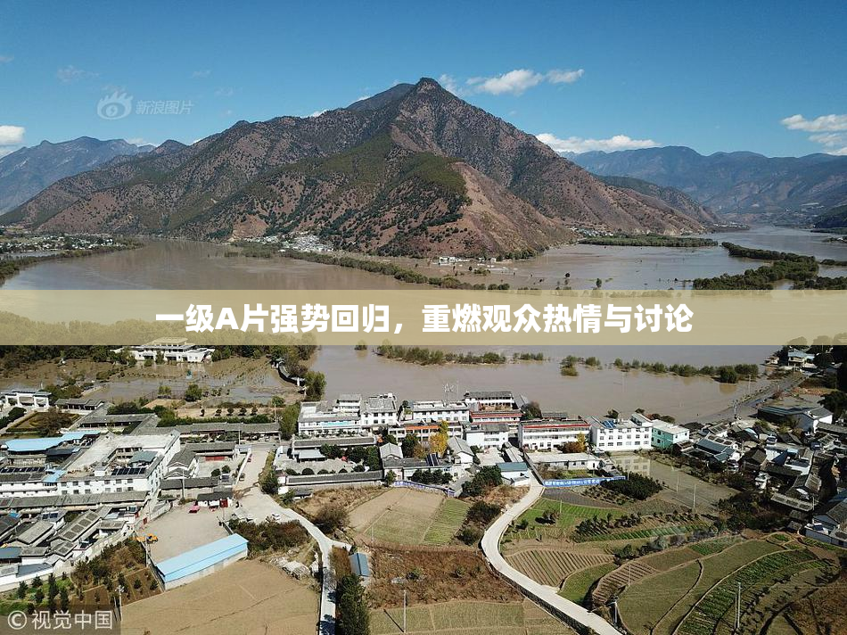 一级A片强势回归，重燃观众热情与讨论