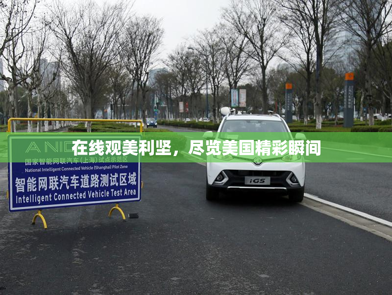 在线观美利坚，尽览美国精彩瞬间