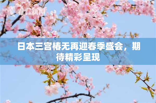 日本三宫椿无再迎春季盛会，期待精彩呈现