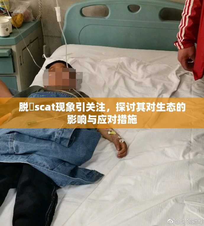 脱糞scat现象引关注，探讨其对生态的影响与应对措施