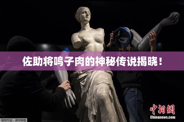佐助将鸣子肉的神秘传说揭晓！