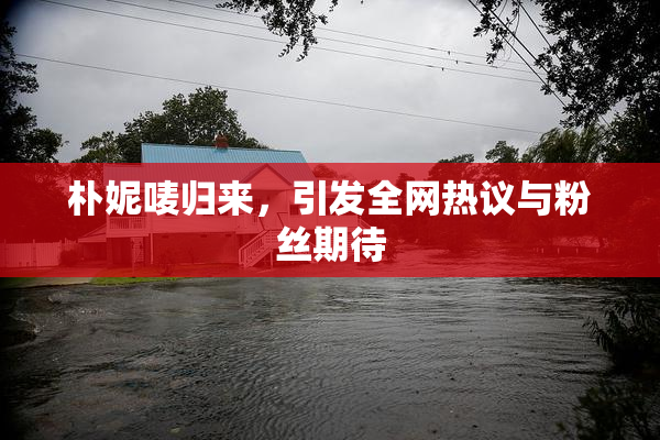 朴妮唛归来，引发全网热议与粉丝期待