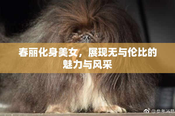 春丽化身美女，展现无与伦比的魅力与风采