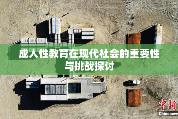 成人性教育在现代社会的重要性与挑战探讨