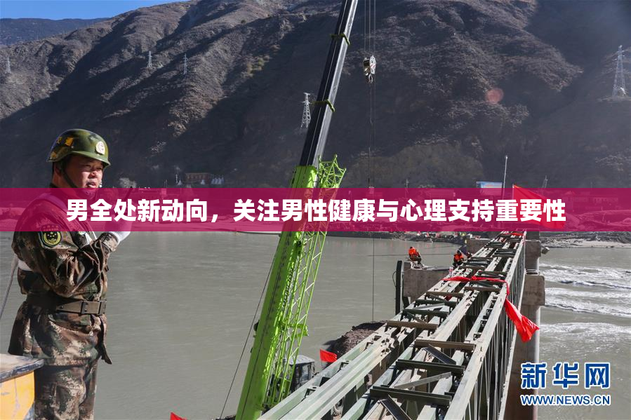 男全处新动向，关注男性健康与心理支持重要性