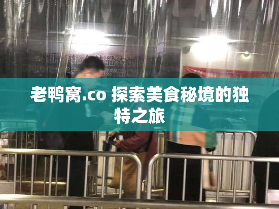 老鸭窝.co 探索美食秘境的独特之旅