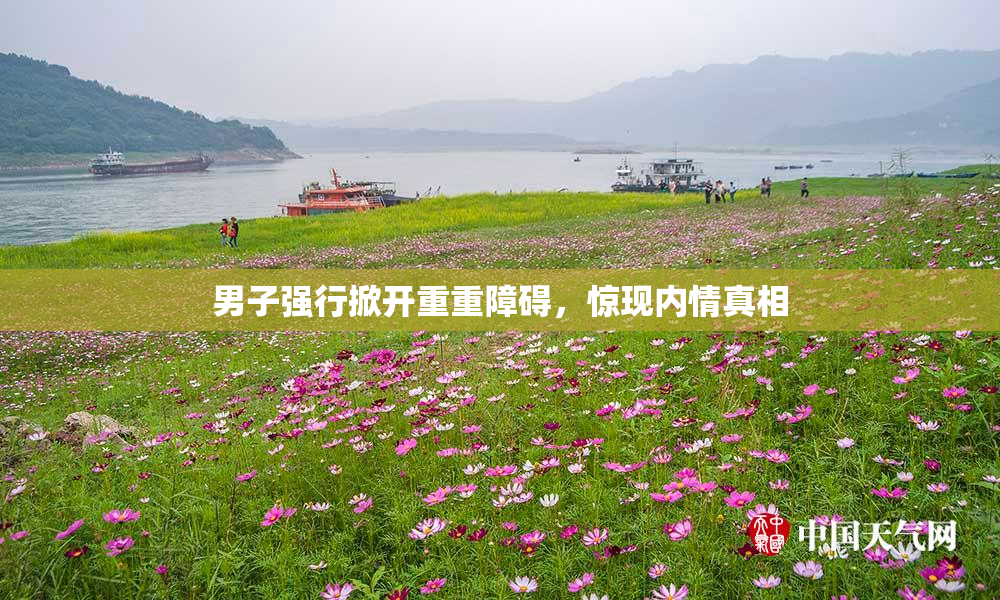 男子强行掀开重重障碍，惊现内情真相