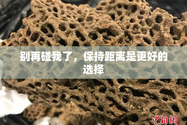 别再碰我了，保持距离是更好的选择