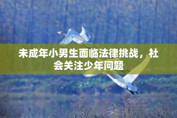 未成年小男生面临法律挑战，社会关注少年问题