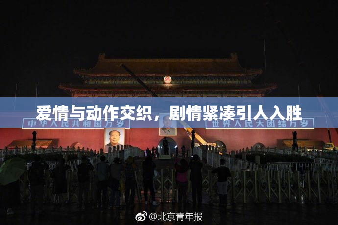 爱情与动作交织，剧情紧凑引人入胜