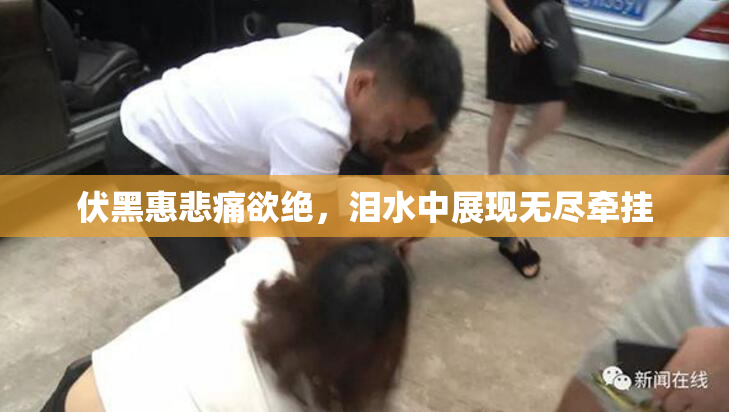 伏黑惠悲痛欲绝，泪水中展现无尽牵挂