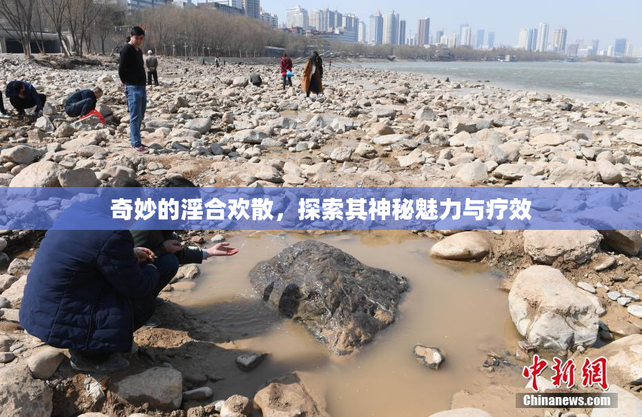 奇妙的淫合欢散，探索其神秘魅力与疗效