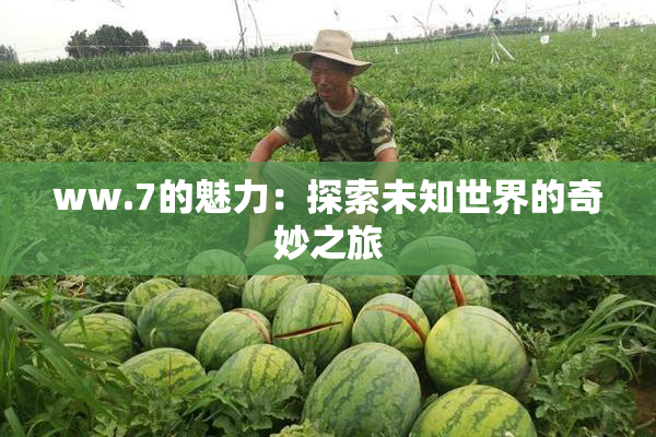 ww.7的魅力：探索未知世界的奇妙之旅