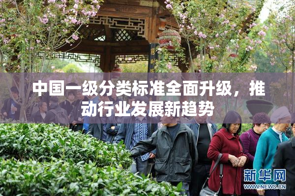 中国一级分类标准全面升级，推动行业发展新趋势