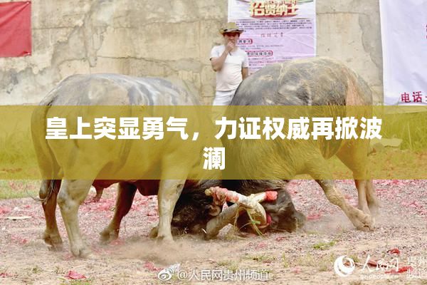 皇上突显勇气，力证权威再掀波澜