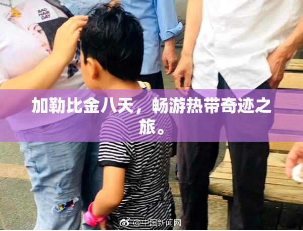 加勒比金八天，畅游热带奇迹之旅。