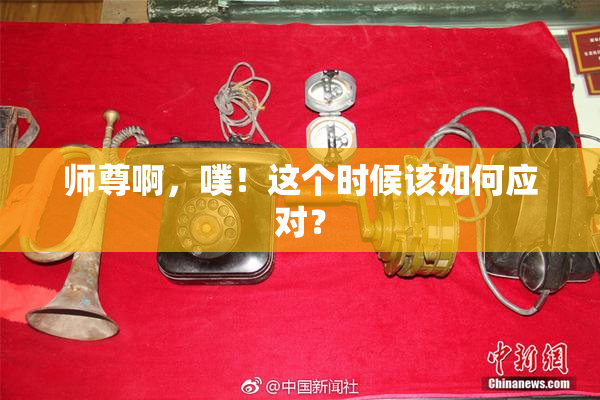师尊啊，噗！这个时候该如何应对？