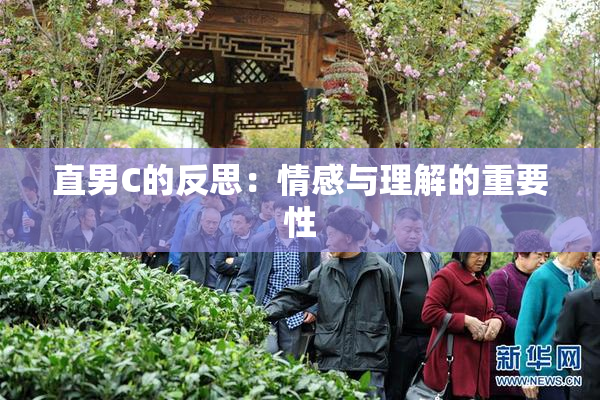 直男C的反思：情感与理解的重要性