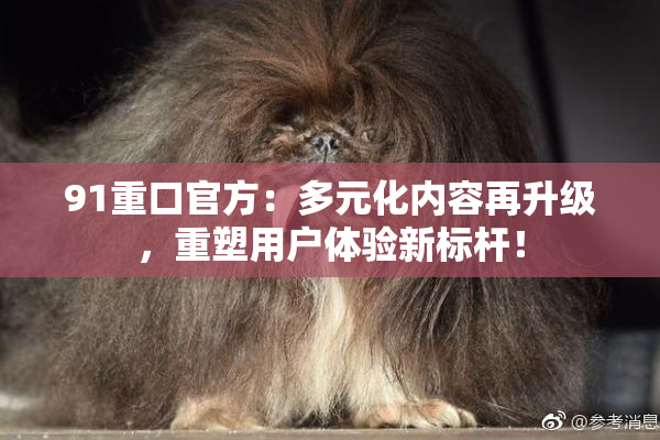 91重口官方：多元化内容再升级，重塑用户体验新标杆！