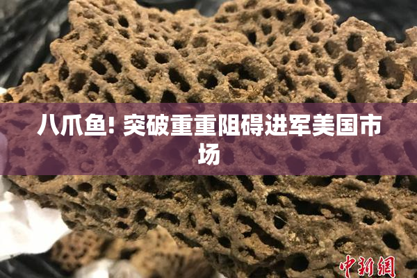 八爪鱼! 突破重重阻碍进军美国市场