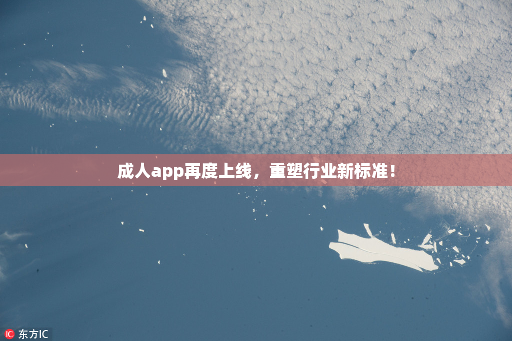 成人app再度上线，重塑行业新标准！