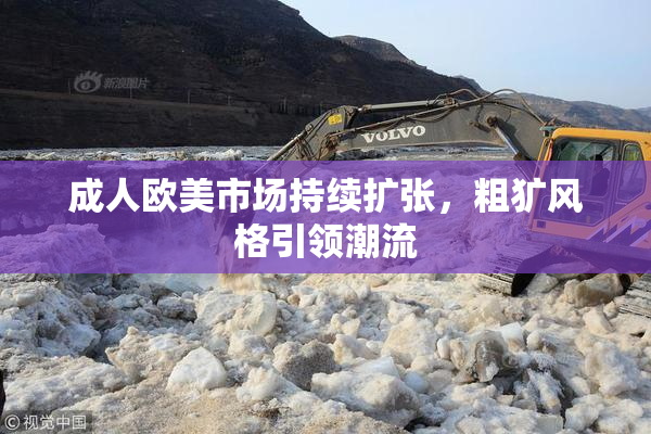 成人欧美市场持续扩张，粗犷风格引领潮流