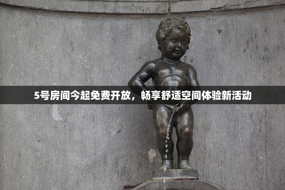 5号房间今起免费开放，畅享舒适空间体验新活动
