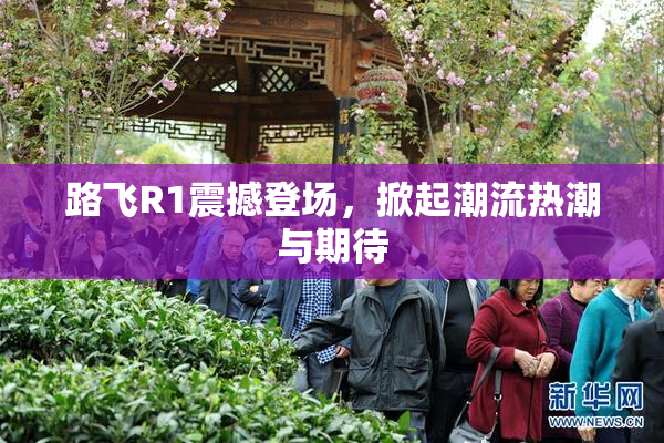 路飞R1震撼登场，掀起潮流热潮与期待