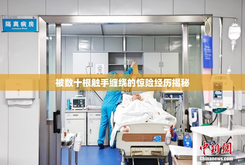 被数十根触手缠绕的惊险经历揭秘