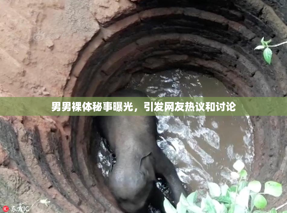 男男裸体秘事曝光，引发网友热议和讨论