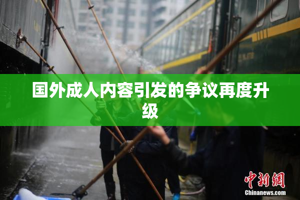 国外成人内容引发的争议再度升级