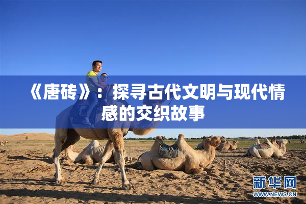 《唐砖》：探寻古代文明与现代情感的交织故事