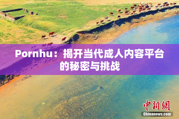 Pornhu：揭开当代成人内容平台的秘密与挑战