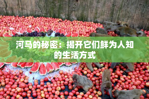 河马的秘密：揭开它们鲜为人知的生活方式