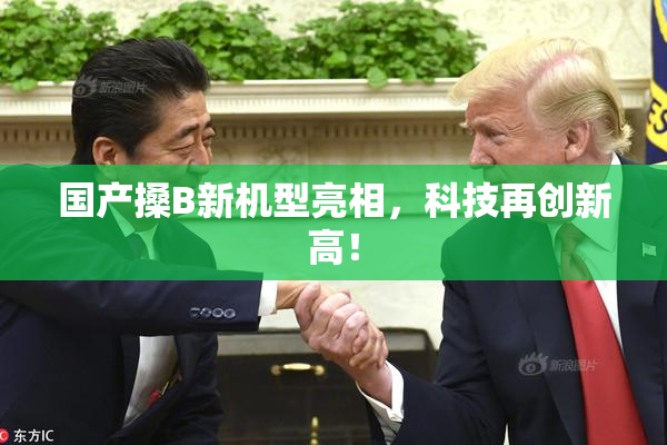 国产搡B新机型亮相，科技再创新高！