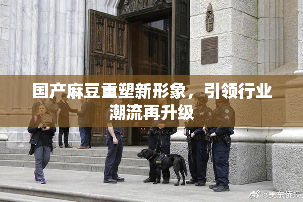 国产麻豆重塑新形象，引领行业潮流再升级