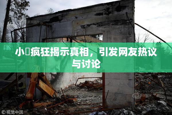 小泬疯狂揭示真相，引发网友热议与讨论
