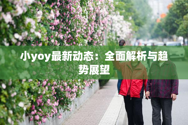 小yoy最新动态：全面解析与趋势展望