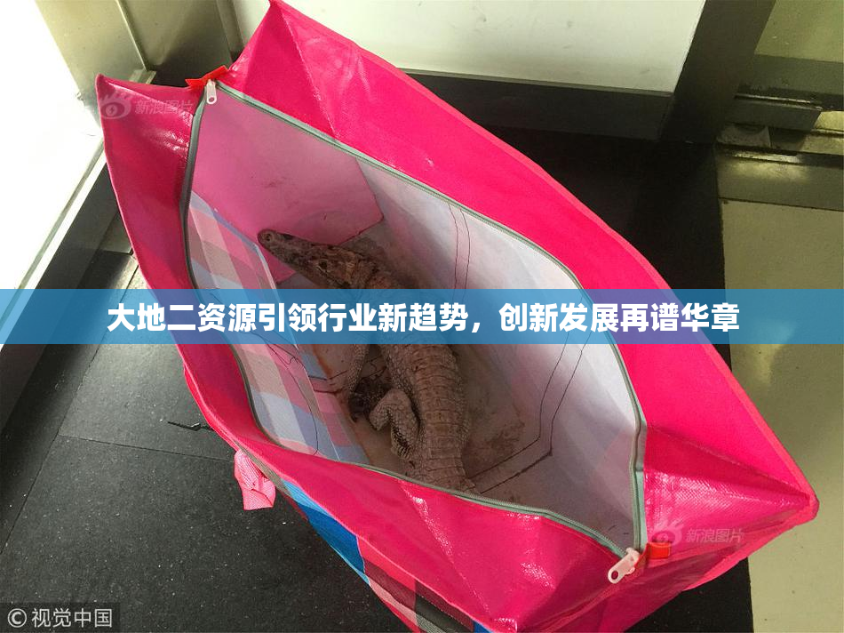 大地二资源引领行业新趋势，创新发展再谱华章