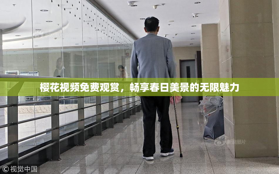 樱花视频免费观赏，畅享春日美景的无限魅力