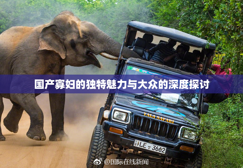 国产寡妇的独特魅力与大众的深度探讨