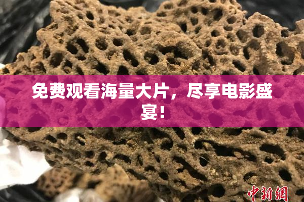 免费观看海量大片，尽享电影盛宴！